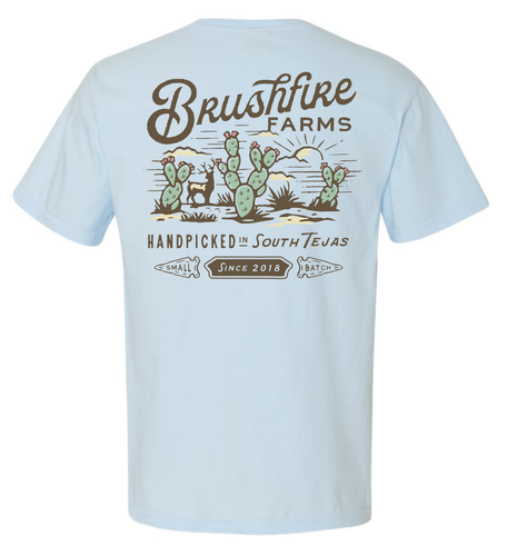 South Texas T-Shirt - Powder Blue